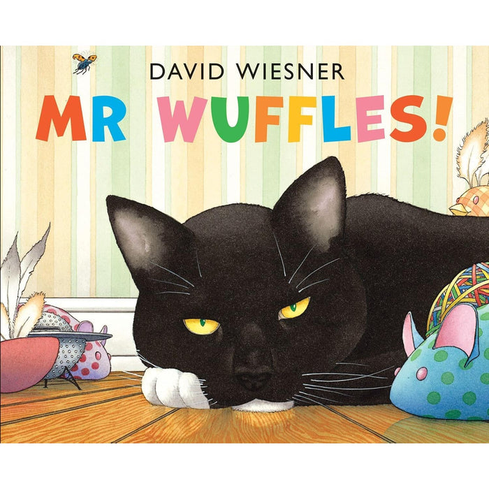 David Wiesner Collection 6 Books Set (The Three Pigs, Tuesday, Art and Max, Mr Wuffles, Flotsam and I Got It!) - The Book Bundle