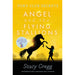 Angel and the Flying Stallions (Pony Club Secrets, Book 10) - The Book Bundle