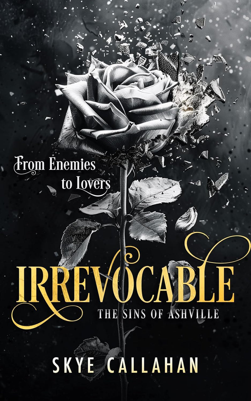 Sins Of Ashville Series 4 Books Collection Set By Skye Callahan - Fiction - Paperback