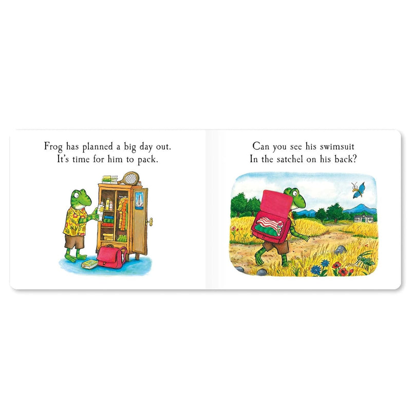 Frog's Day Out: A fun lift-the-flap book – the perfect summer holiday story for kids by Julia Donaldson