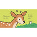 That's not my deer... by Fiona Watt Children's Books - The Book Bundle