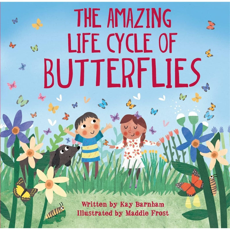 Look and Wonder Series Collection 3 Books Set By Kay Barnham (A Stroll Through the Seasons, The Amazing Life Cycle of Butterflies & The Amazing Plant Life Cycle Story) - The Book Bundle