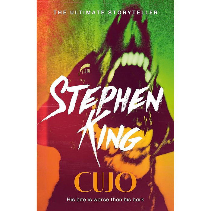 Stephen King Collection 5 Books Set (The Shining, Salem's Lot, Firestarter, Doctor Sleep and Cujo) - The Book Bundle