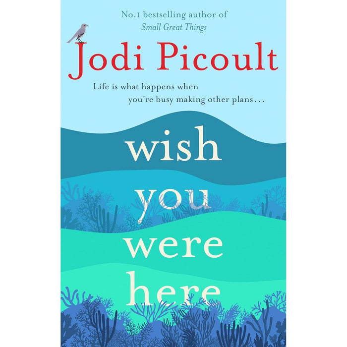 Jodi Picoult 2 Book Set (By Any Other Name, Wish You Were Here) - The Book Bundle