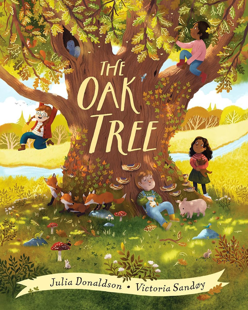 The Oak Tree & Spinderella & Night Monkey, Day Monkey 5 Books Collection Set by Julia Donaldson - Fiction - Mixed Format