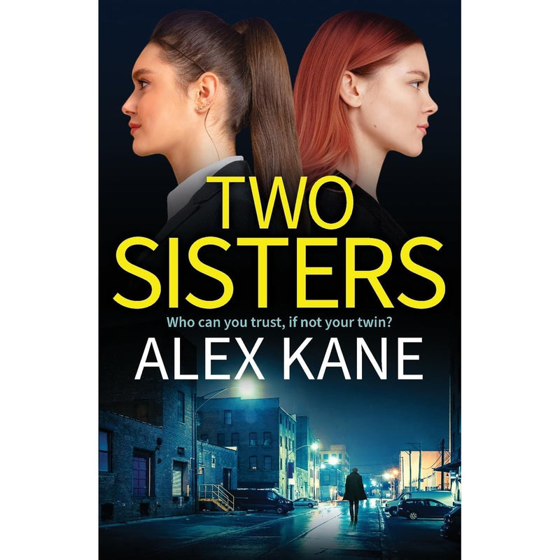 Alex Kane Collection 3 Books Set (The Mother, The Family Business & Two Sisters) - The Book Bundle