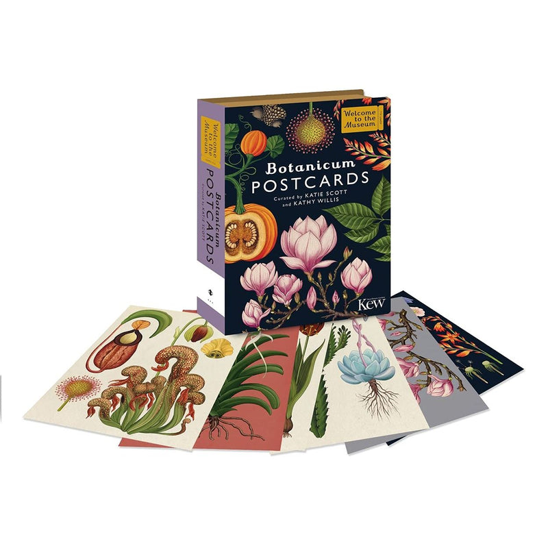 Set of 50 Botanicum postcards featuring botanical illustrations by Kathy Willis and Katie Scott, showcasing plant art from the museum collection.