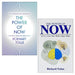 The Power of Now Series 2 Books Collection Set (The Power of Now The Global Phenomenon) - The Book Bundle
