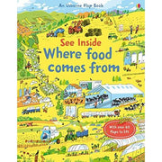 See Inside Weather and Climate and Related Reads by Usborne 3 Books Collection Set - Non Fiction - Paperback - The Book Bundle