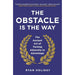 The Obstacle is the Way, Grit: The Power of Passion and Perseverance, Drive The Surprising Truth About What Motivates Us 3 Books Collection Set - The Book Bundle