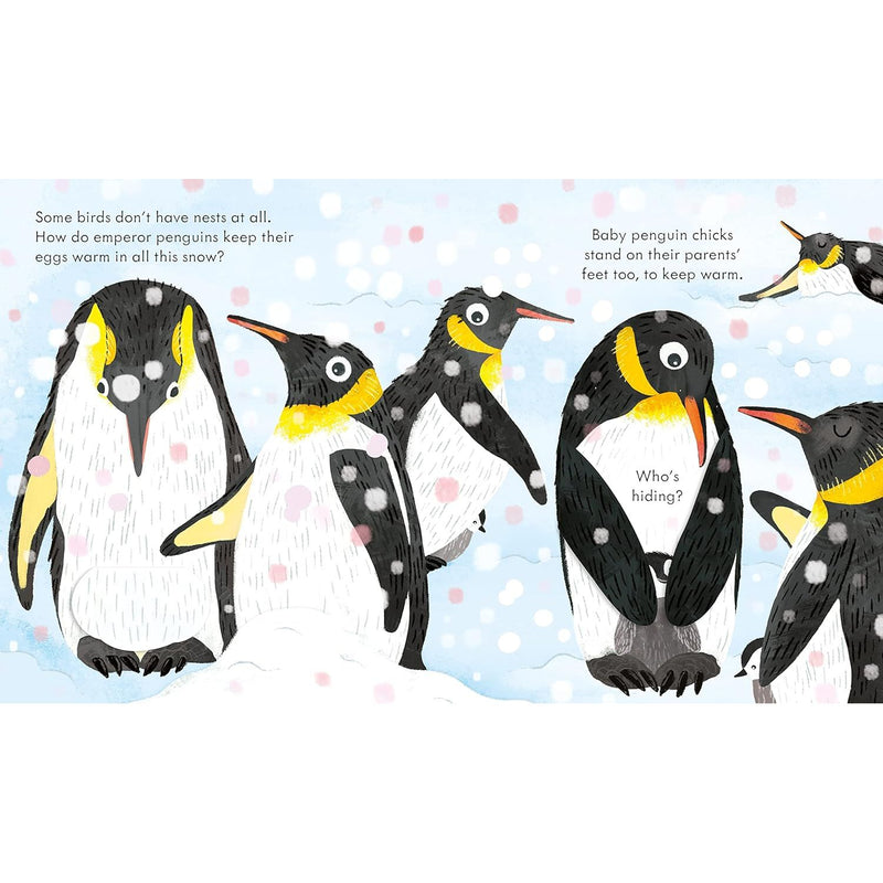 Board book cover featuring colorful illustrations of a bird's nest with baby birds, by Anna Milbourne for Usborne Publishing.