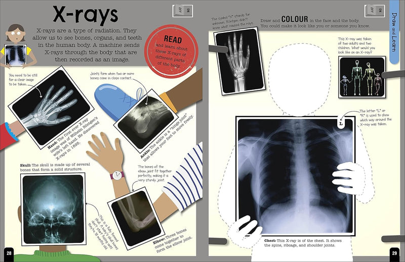 The Fact-Packed Activity Book: Human Body -  Fiction - Paperback