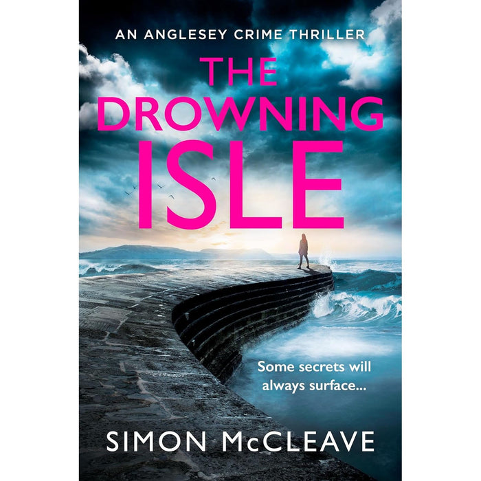 The Anglesey Series 4 Books Set By  Simon McCleave (In Too Deep, The Dark Tide, Blood on the Shore & The Drowning Isle) - The Book Bundle