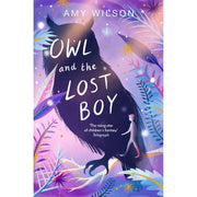 Amy Wilson Collection 4 Books Set (Shadows of Winterspell, Snowglobe, Owl and the Lost Boy and A Far Away Magic) - The Book Bundle