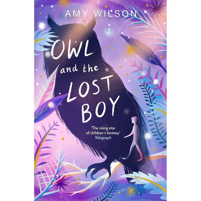 Amy Wilson Collection 4 Books Set (Shadows of Winterspell, Snowglobe, Owl and the Lost Boy and A Far Away Magic) - The Book Bundle