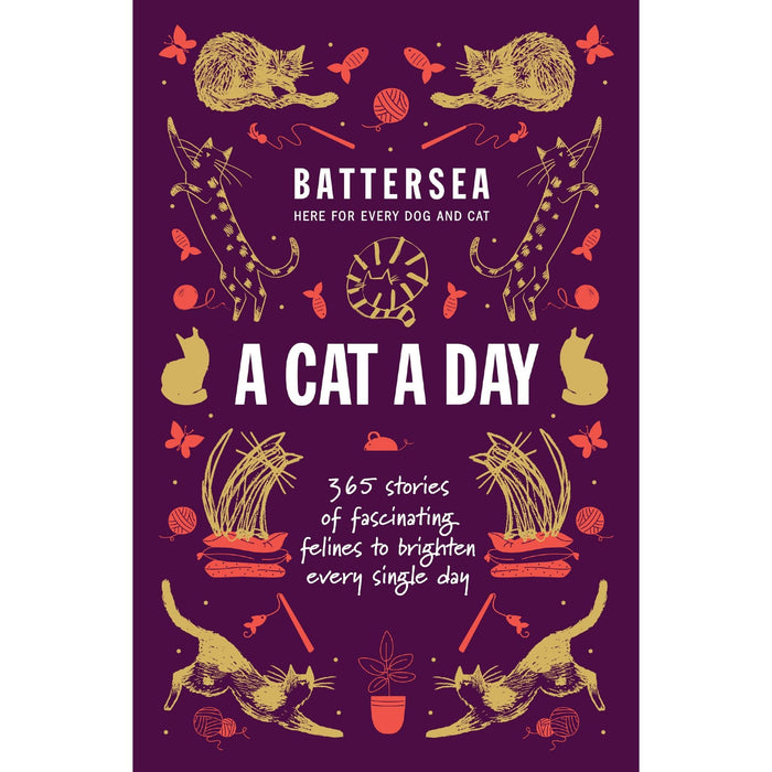 Battersea Dogs and Cats Home - A Cat a Day: 365 stories of fascinating felines to brighten every day - The Book Bundle