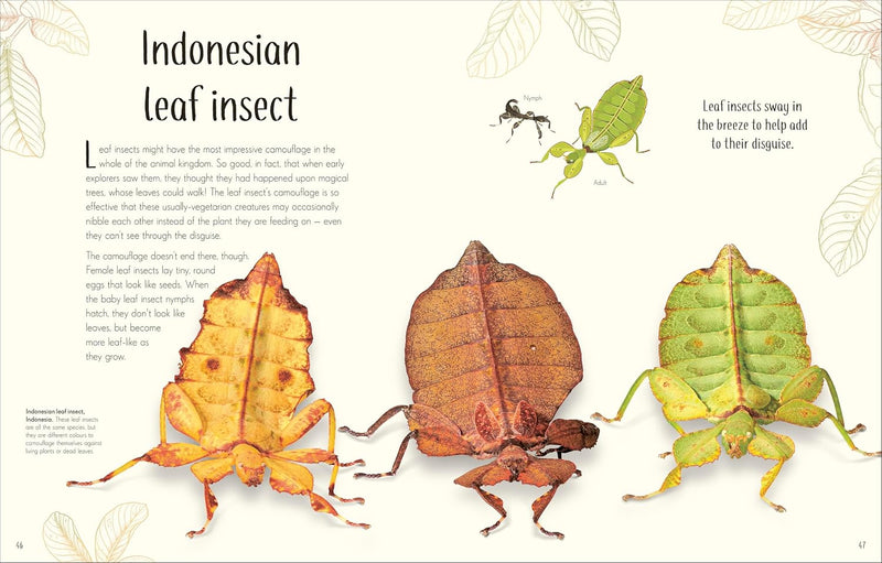 DK Children's Anthologies An Anthology of Remarkable Bugs - Insect World - Non Fiction
