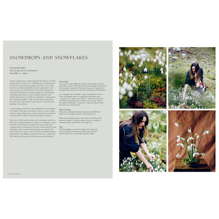 From Seed to Bloom: A Year of Growing and Designing With Seasonal Flowers by Milli Proust ( - The Book Bundle