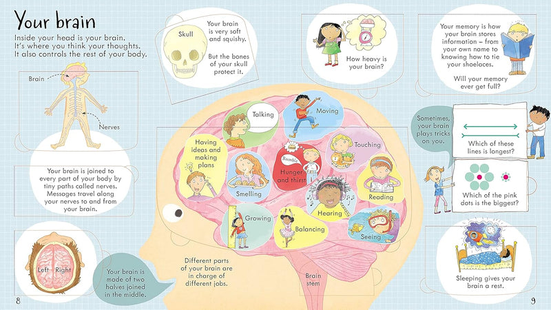 Look Inside Your Body (Look Inside Board Books) by Louie Stowell - Ages 5+ - Board Book - The Book Bundle