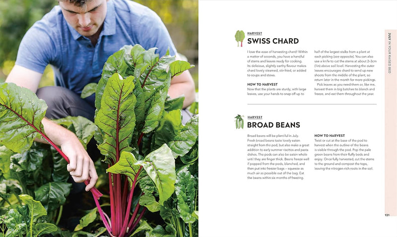 Veg in One Bed New Edition: How to Grow an Abundance of Food in One Raised Bed, Month by Month