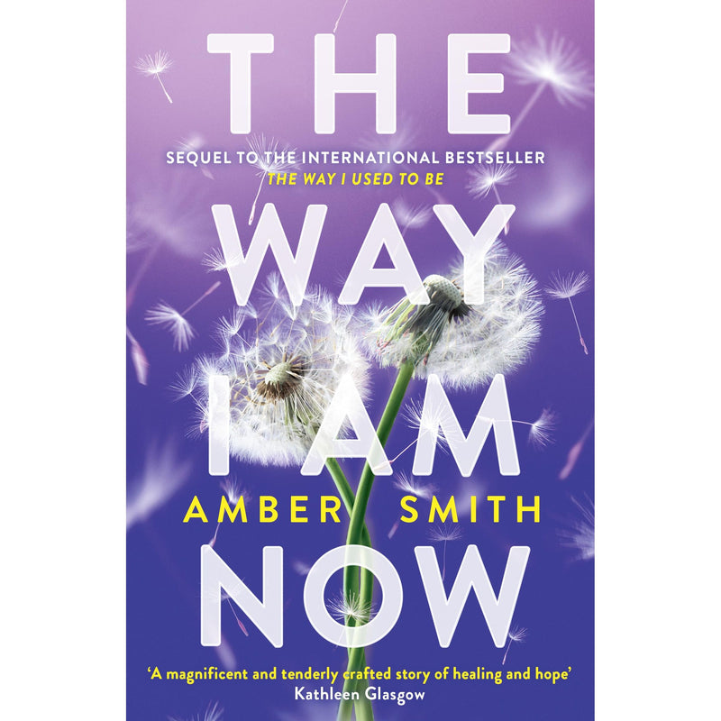 The Way I Am Now: Amber Smith (The Way I Used to Be) - The Book Bundle