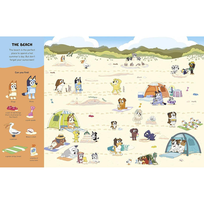 Bluey: Where's Bluey?: A Search-and-Find Book by Bluey PB - The Book Bundle