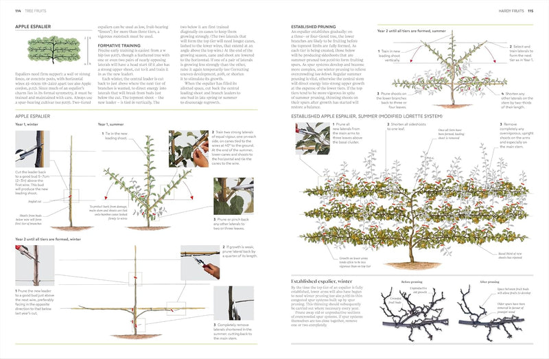 RHS Pruning and Training: What, When, and How to Prune Over 800 Plants by RHS - Non Fiction