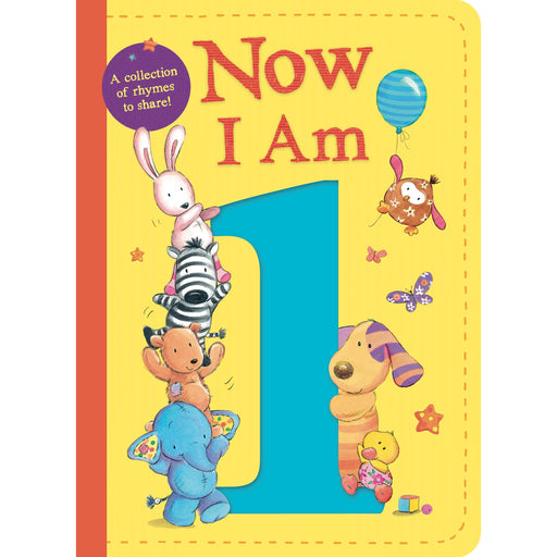 Now I Am 1 - Board book By Rachel Baines - The Book Bundle