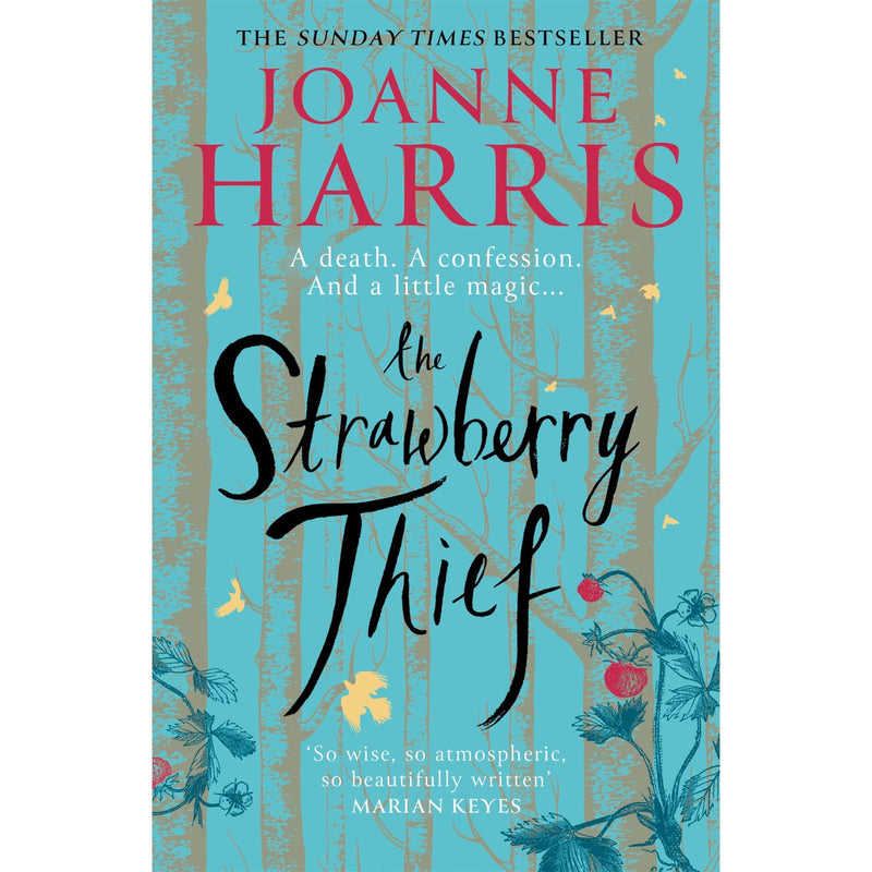The Strawberry Thief: The Sunday Times bestselling novel from the author of Chocolat (Chocolat, 4) - The Book Bundle