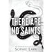 There Are No Saints (Sinners Duet) by Sophie Lark Paperback - The Book Bundle