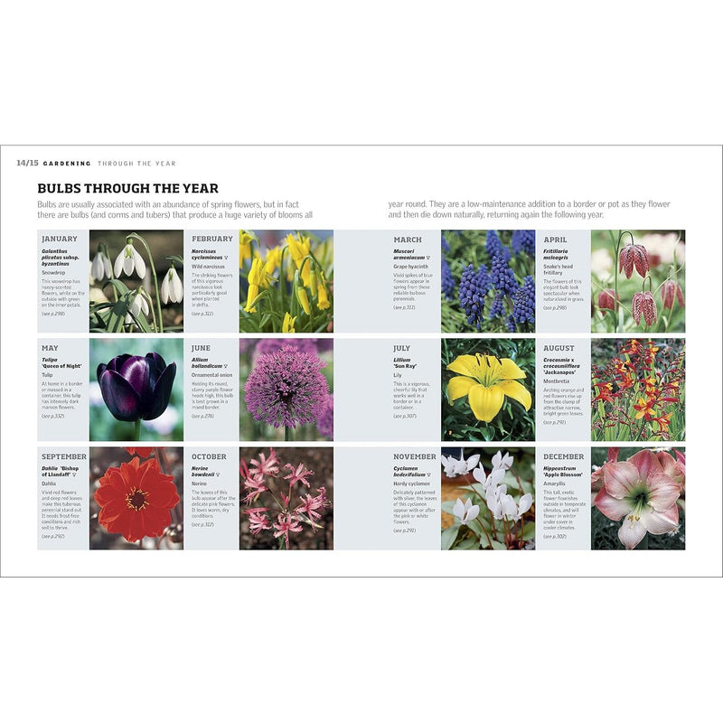 Book cover for RHS Gardening Through the Year by Ian Spence, featuring colorful garden illustrations and month-by-month planning tips.