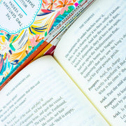 William Shakespeare Complete Collection of 22 classic edition books including The Two Gentlemen of Verona in a hardcover set.