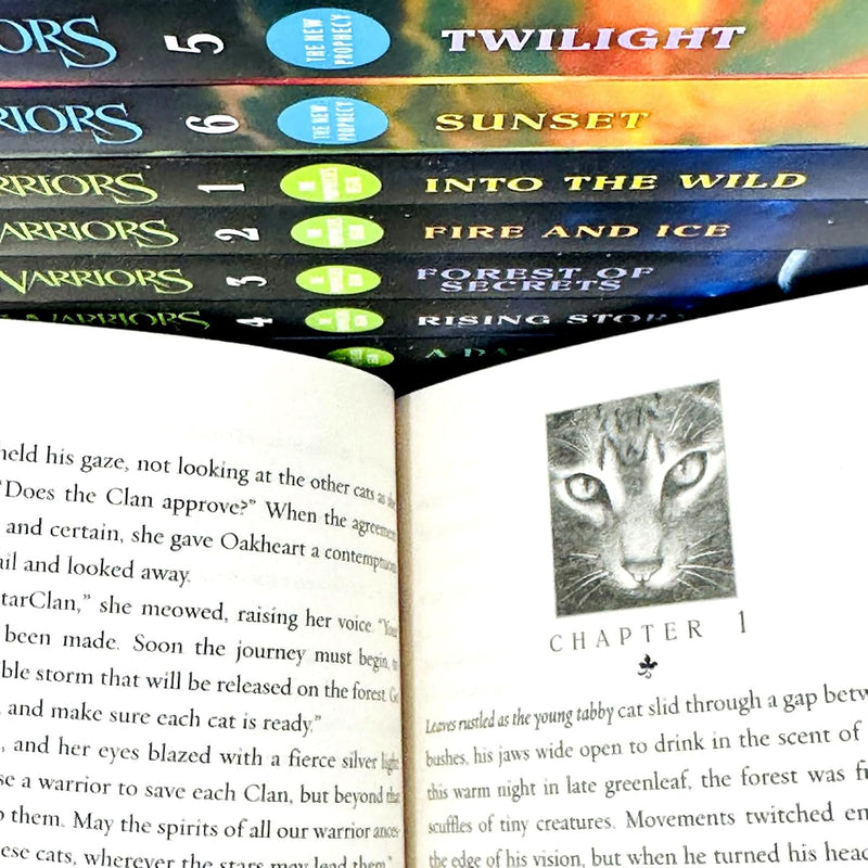 Set of 12 Warrior Cats books by Erin Hunter, including volumes from The Prophecies Begin and The New Prophecy series, featuring colorful cover art.