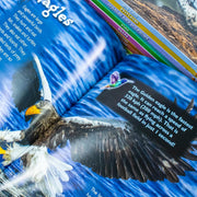 Set of 10 hardcover Nature Discovery books for kids ages 3-8 featuring animals and habitats, authored by Jasmine Brooke.