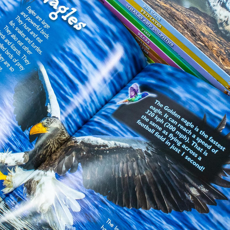 Set of 10 hardcover Nature Discovery books for kids ages 3-8 featuring animals and habitats, authored by Jasmine Brooke.