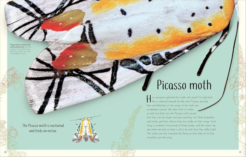 DK Children's Anthologies An Anthology of Remarkable Bugs - Insect World - Non Fiction