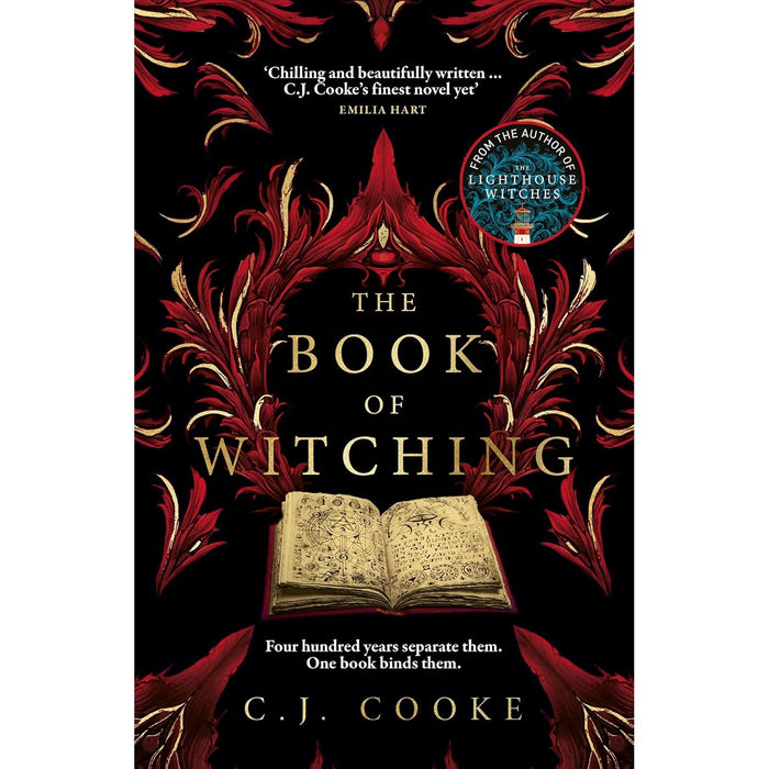 C.J. Cooke  2 Books Set (The Book of Witching, A Haunting in the Arctic) - The Book Bundle