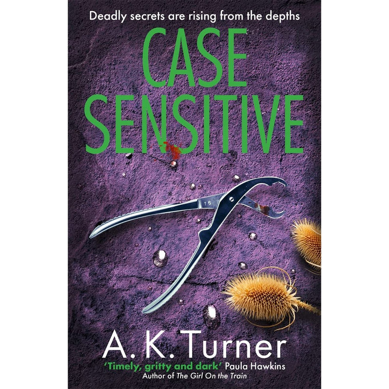 Cassie Raven 4 book series set by A. K. Turner  (Body Language, Life Sentence, Case Sensitive,  Dead Fall) - The Book Bundle