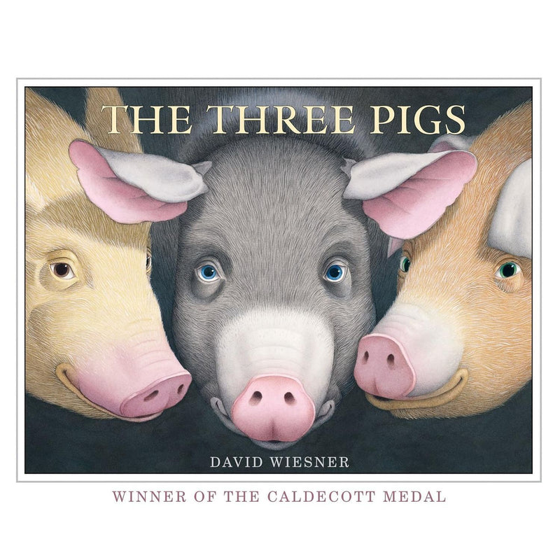 David Wiesner Collection 6 Books Set (The Three Pigs, Tuesday, Art and Max, Mr Wuffles, Flotsam and I Got It!) - The Book Bundle