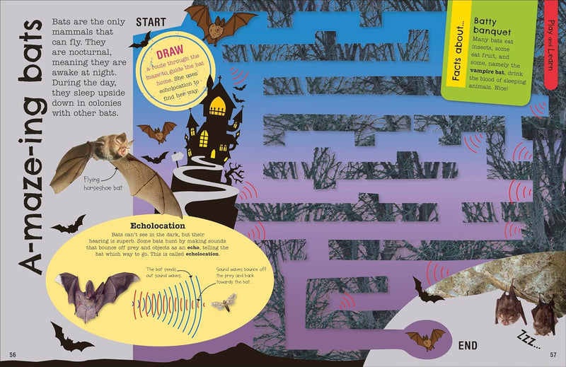 The Fact-Packed Activity Book: Animals for Kids and Young Readers - Fiction - Paperback