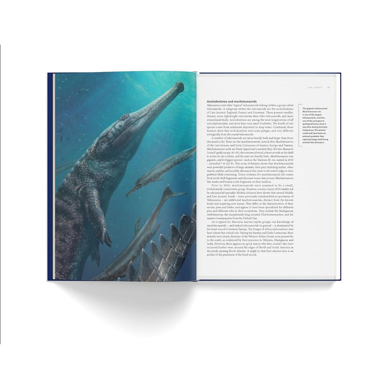Ancient Sea Reptiles: Plesiosaurs, ichthyosaurs, mosasaurs and more by Darren Naish