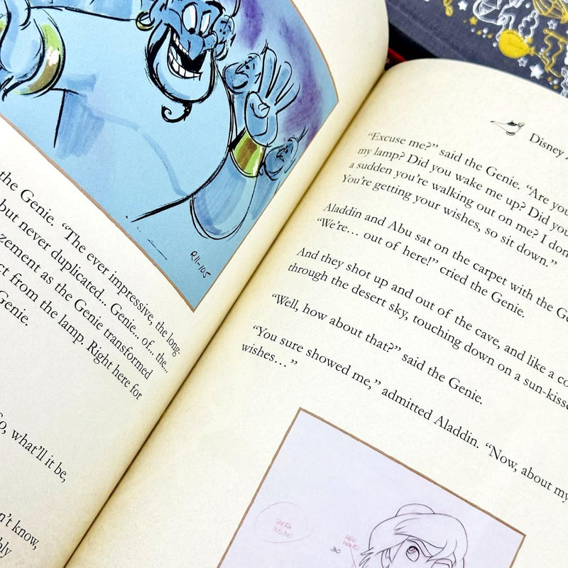 Disney Animated Classics 3 Books Collection Set By Lily Murray (Aladdin, Dumbo, The Lion King) - The Book Bundle