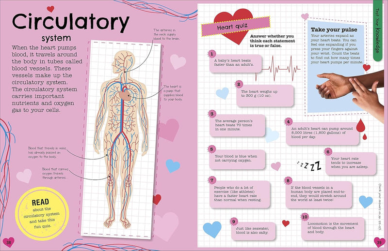 The Fact-Packed Activity Book: Human Body -  Fiction - Paperback