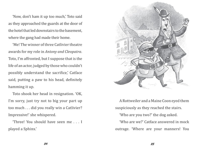 Toto the Ninja Cat and the Pirate Treasure Hunt by Dermot O'Leary - Fiction - Paperback