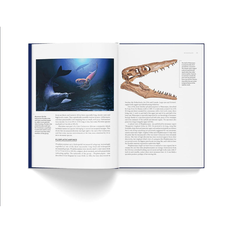 Ancient Sea Reptiles: Plesiosaurs, ichthyosaurs, mosasaurs and more by Darren Naish