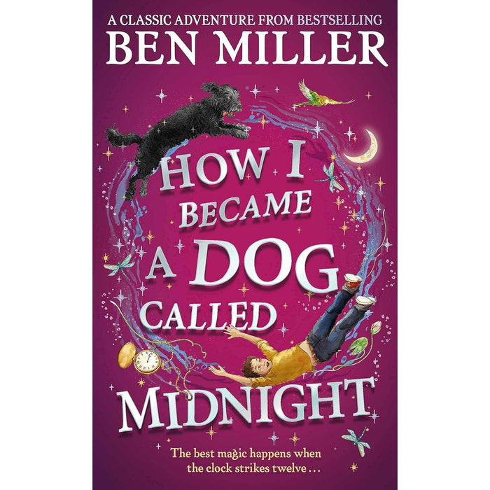 Ben Miller Collection 6 Books Set (Diary of a Christmas Elf, World Disappear, Night & More) - The Book Bundle