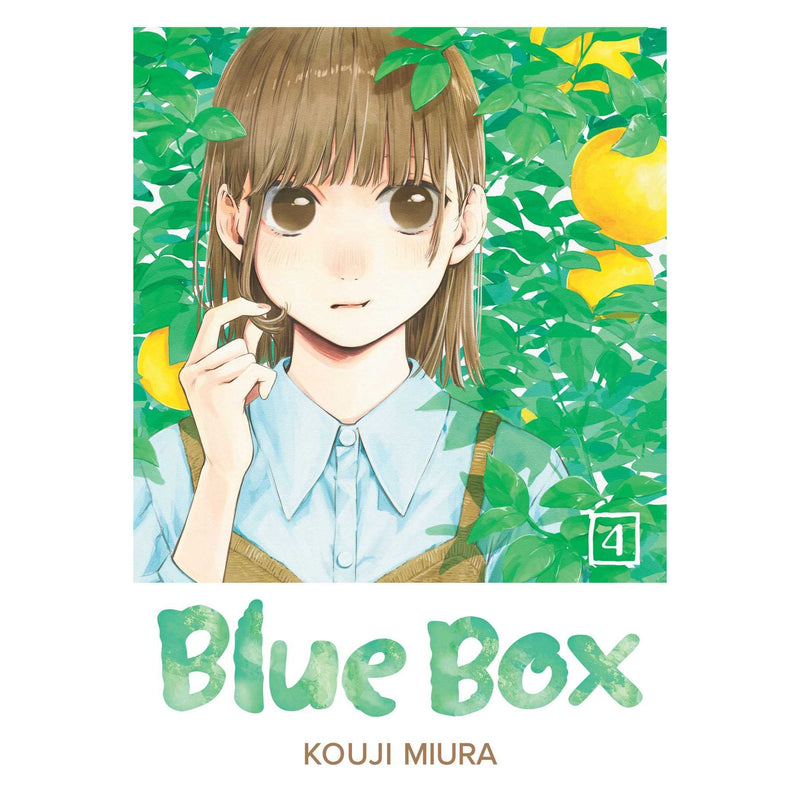 Blue Box Volume 4 paperback by VIZ Media LLC showing the book cover with artwork and title text in a clean, colorful design.