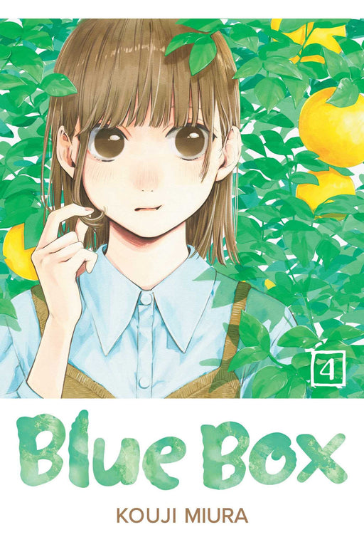 Blue Box Volume 4 paperback by VIZ Media LLC showing the book cover with artwork and title text in a clean, colorful design.