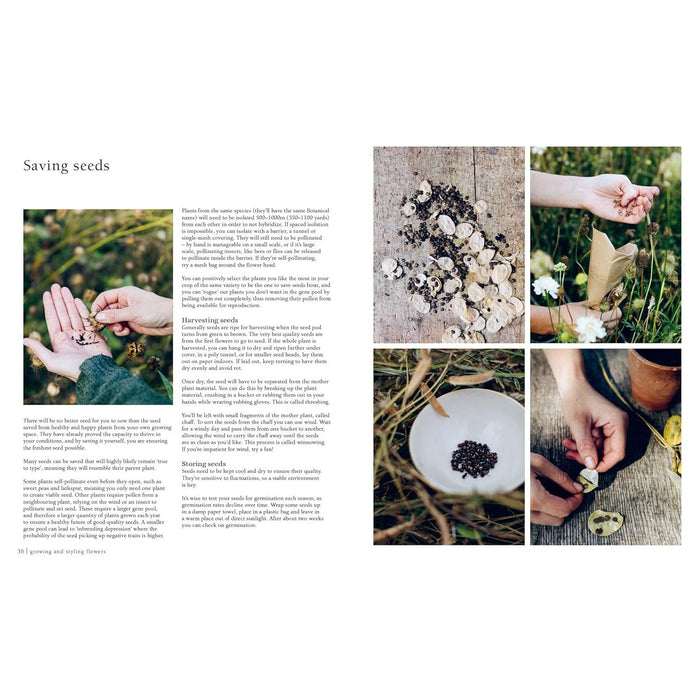 From Seed to Bloom: A Year of Growing and Designing With Seasonal Flowers by Milli Proust ( - The Book Bundle