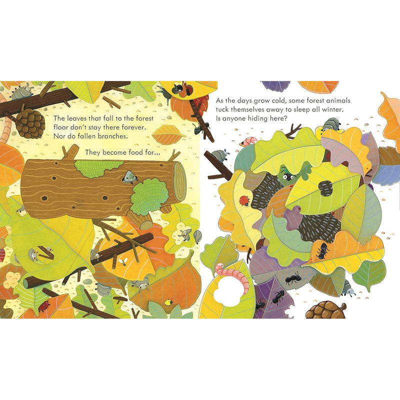 Open pages of "Peep Inside the Forest" by Anna Milbourne, a children's board book showing colorful forest scenes and animals.